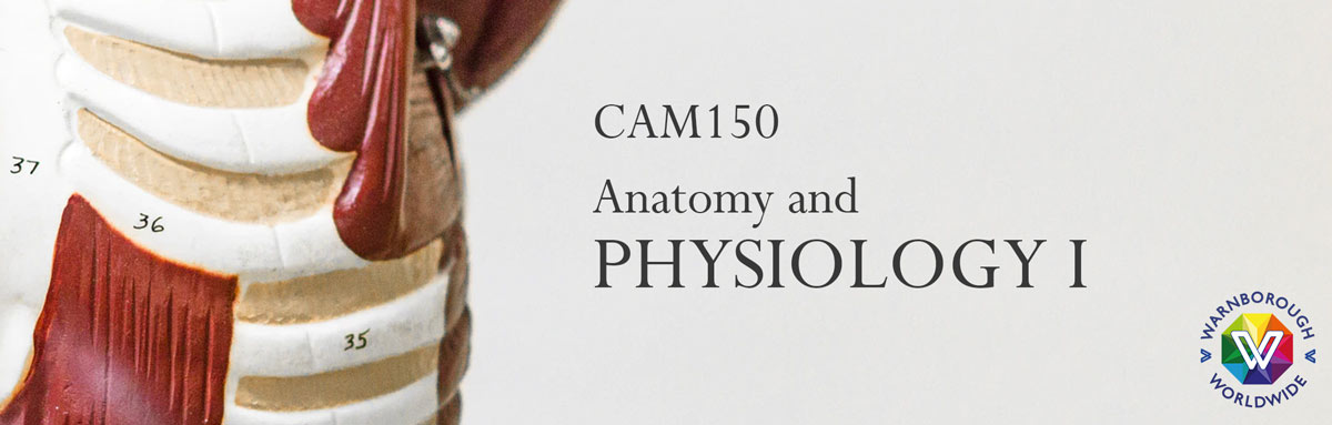 CAM150 Anatomy and Physiology I