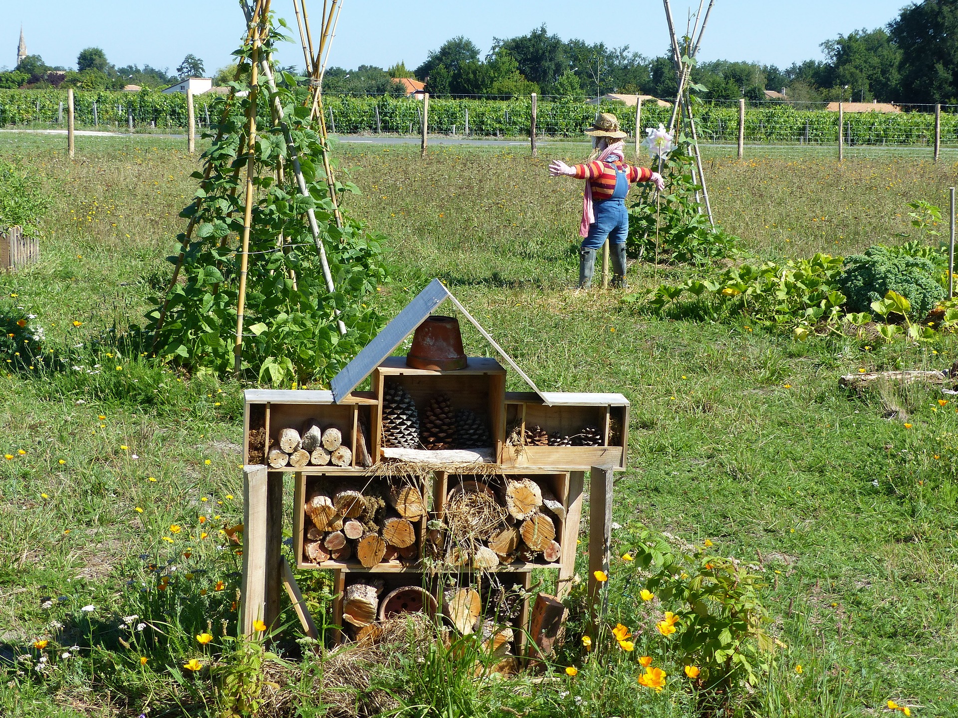 Advance Permaculture Design Course