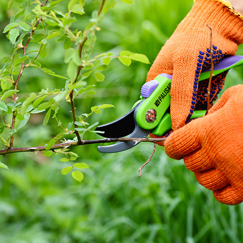 Home Garden Expert course